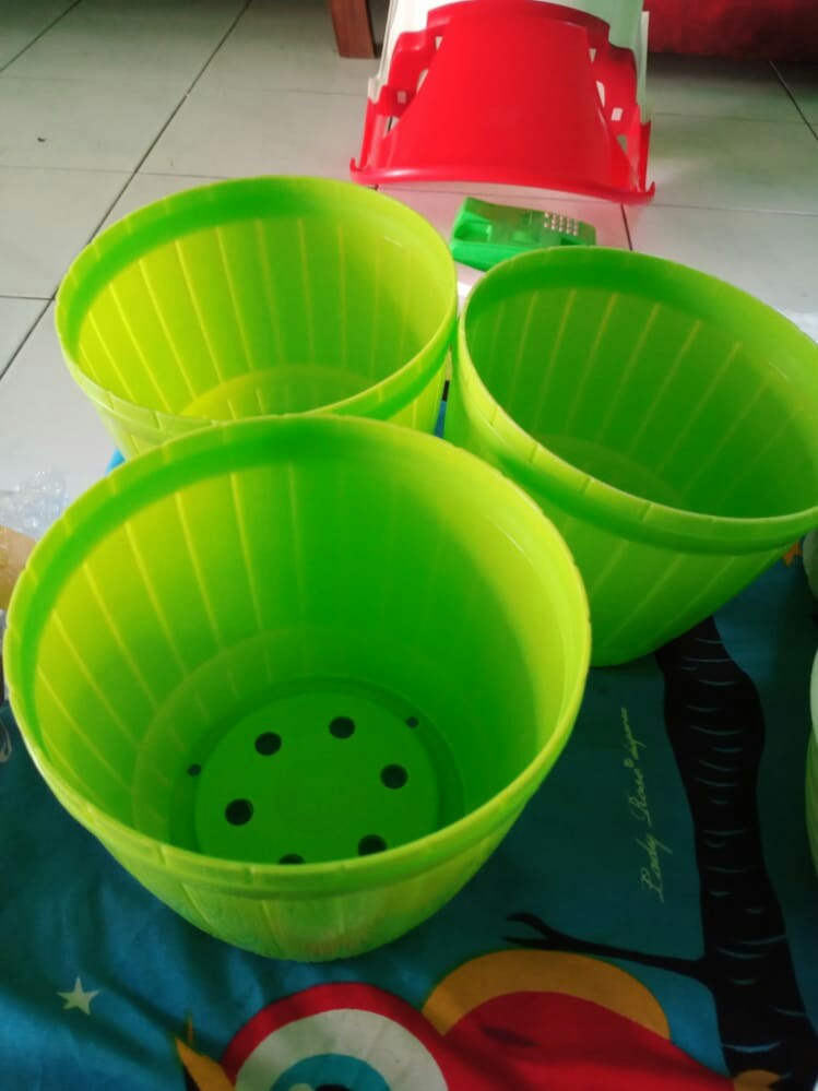Pot Lavenia 18 Pg-8832 Warna Warni
