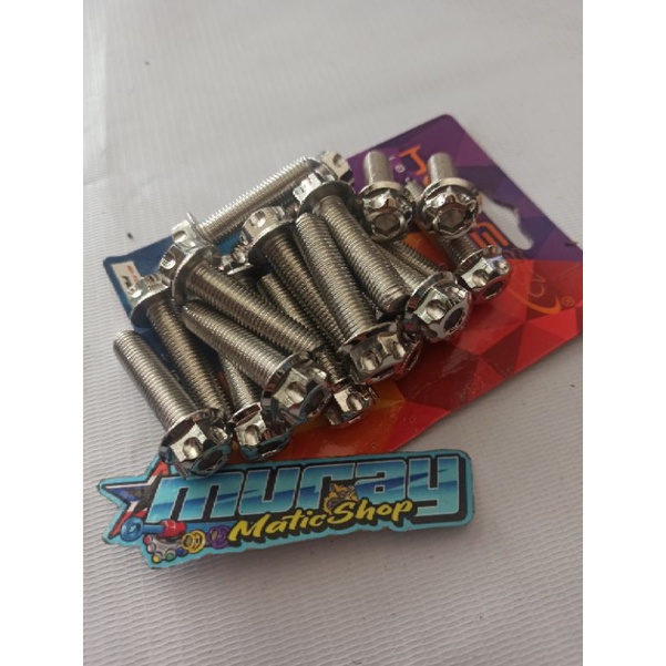 Baut probolt 10x40 gs1