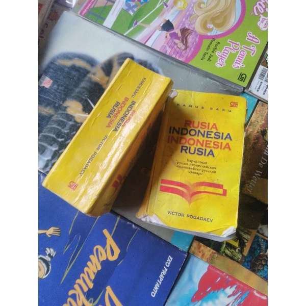 KAMUS RUSIA - INA & INA - RUSIA (VICTOR POGADAEV) (BEKAS)