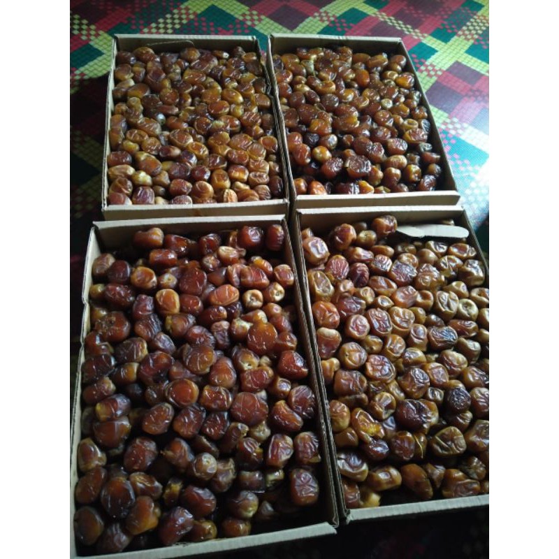 

Kurma sukari