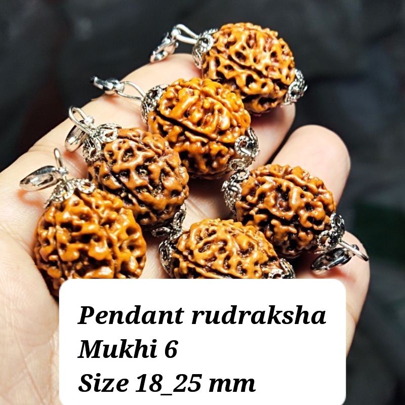 bandul liontin rudraksha mukhi 6 size 18-22 mm