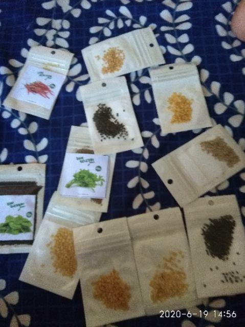 Benih Cabai Cabe Keriting Kastilo F1 Isi 150 Biji - Cap Panah Merah