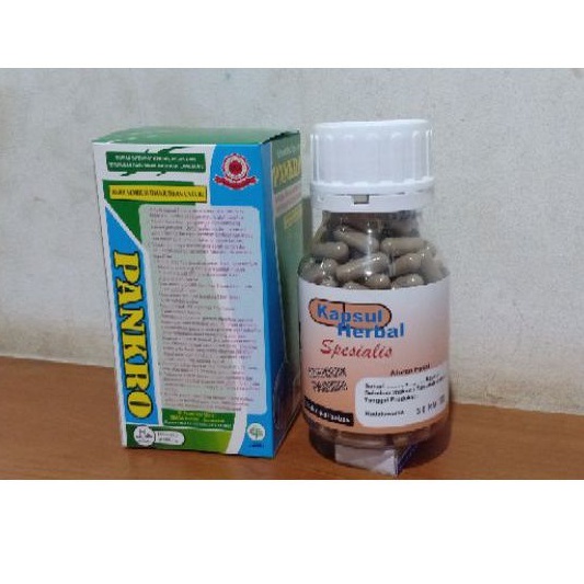 PANKRO HERBAL DIABETES | OBAT DIABETES PANKRO ( CC ) KECIL 90 Kps