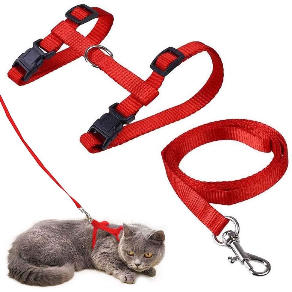 Tali tuntun Harness H polos kucing anjing