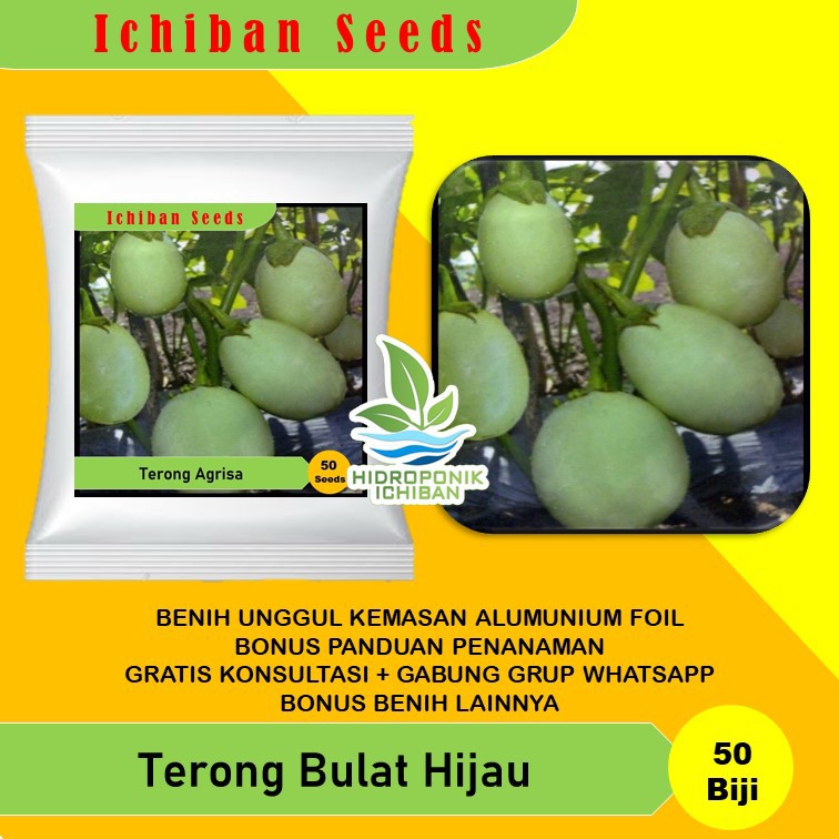 Benih Bibit Biji TERONG AGRISA BULAT HIJAU Kemasan Alumunium Foil