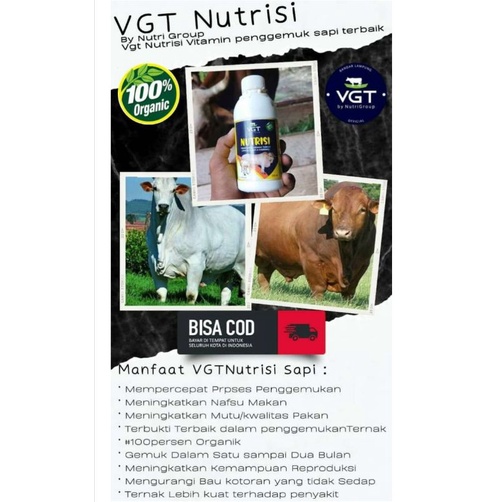VGT Nutrisi Sapi