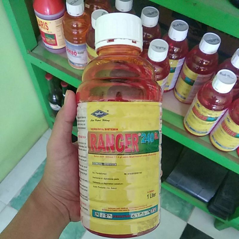 Ranger 240 SL Herbisida Sistemik Pembasmi Gulma Kemasan 1 Liter