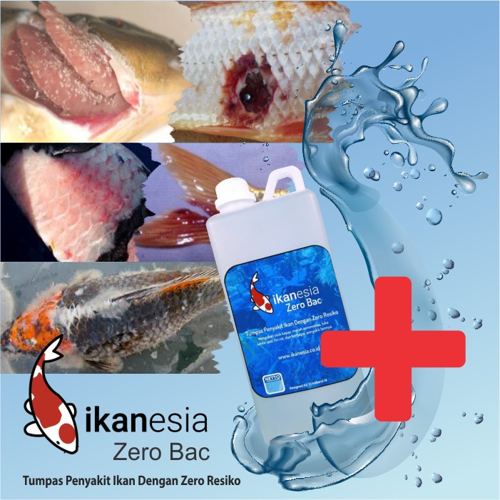 Zero Bac 1,1 Liter - Obat Ikan Koi