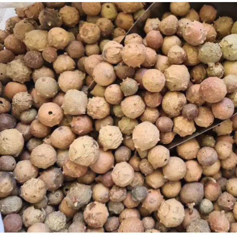 

Buah Manjaakani berat 1kg/Majaan asli