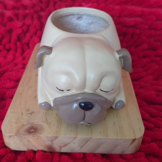 Pot Kaktus Mini Keramik Import karakter bulldog puppy