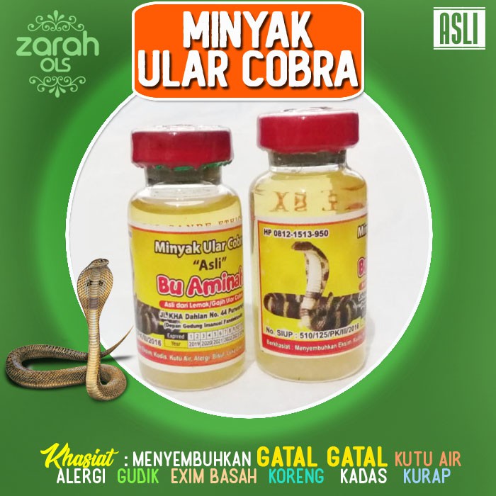 Jual Obat Gatal Kulit Minyak Ular Cobra Obat Gatal Selangkangan Kadas Kudis Eksim Minyak Ular Kobra Asli Indonesia Shopee Indonesia
