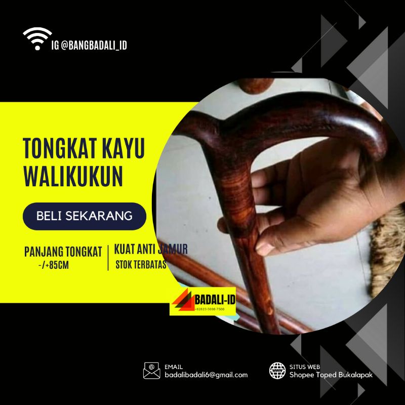 tongkat kayu walikukun