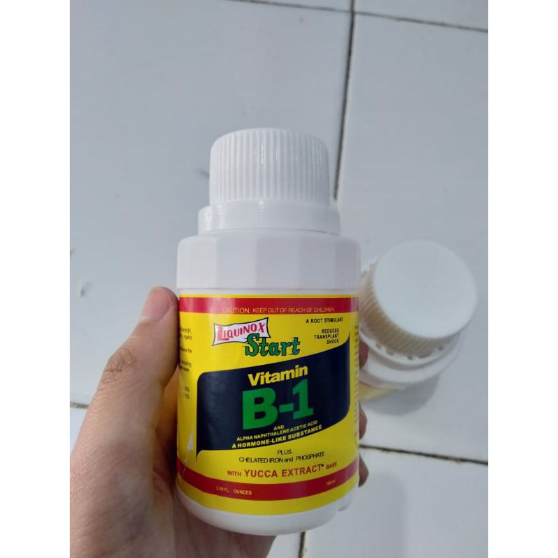 Vitamin B1 Untuk Anggrek