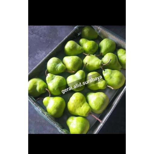 

ALID BUAH - 1 Kg PEAR PACKAM (isi 5-6 buah)
