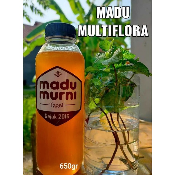 

madu multiflora
