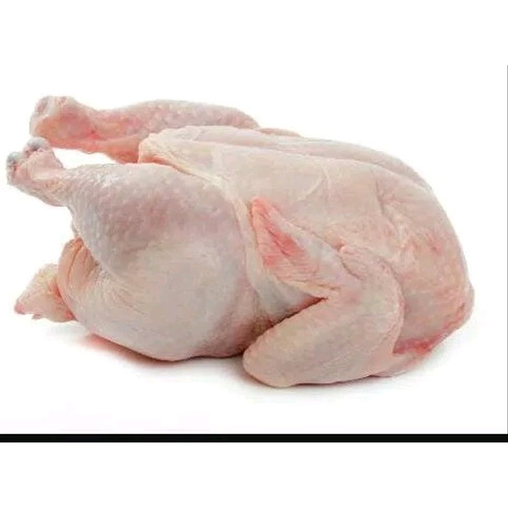 

Ayam negri 1 ekor