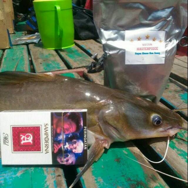 UMPAN KUCUR MASTERPIECE