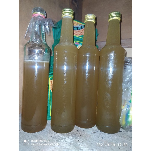 MADU TAWON LIAR,ASLI dari HUTAN