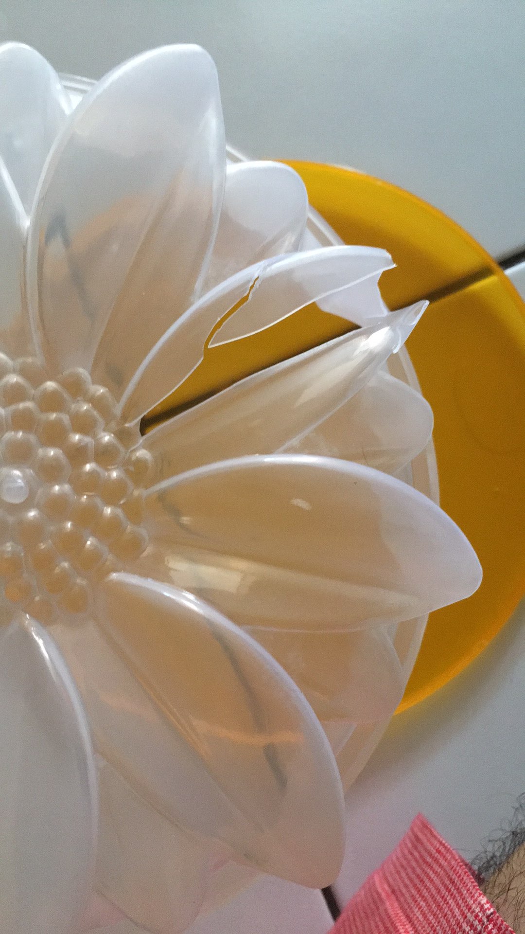 Cetakan Matahari + Tutup