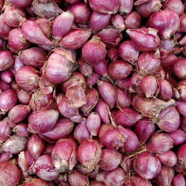 

Bawang merah