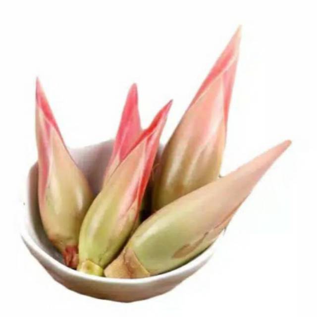 

Kincung / kecombrang 250gr