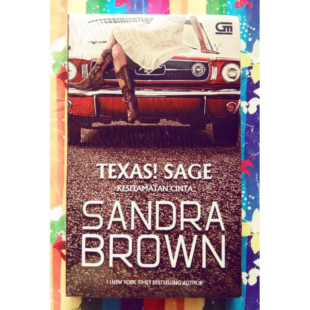 Buku Bacaan Novel Roman Texas Sage by Sandra Brown