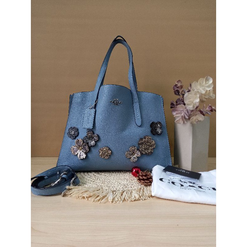 Coach Charlie Carryall preloved