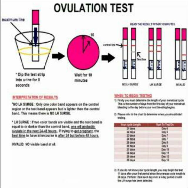 Ovulation Test / Ovulasi Masa Subur / Testpack Kesuburan Promil / Baby Test / LH Ovutest Strip see