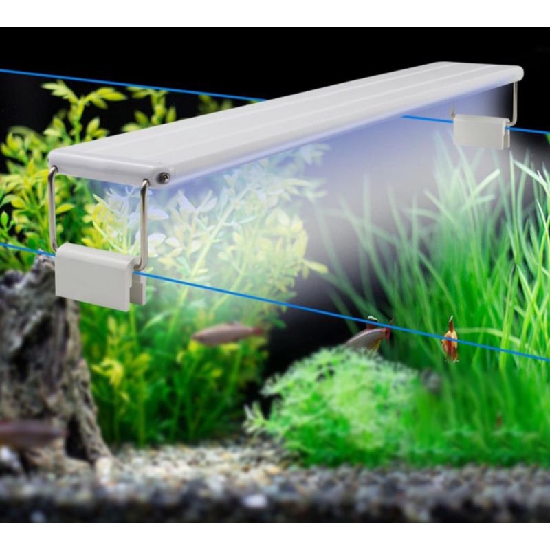 kandila R800 R-800Z NEW SERIES Bukan P800 80CM 90CM 100CM 1 meter lampu gantung atas aquascape LED aquarium