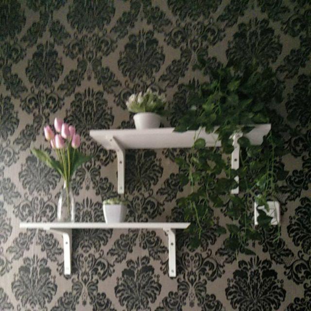 Daun Rambat Sri Gading 2m Dekorasi Home