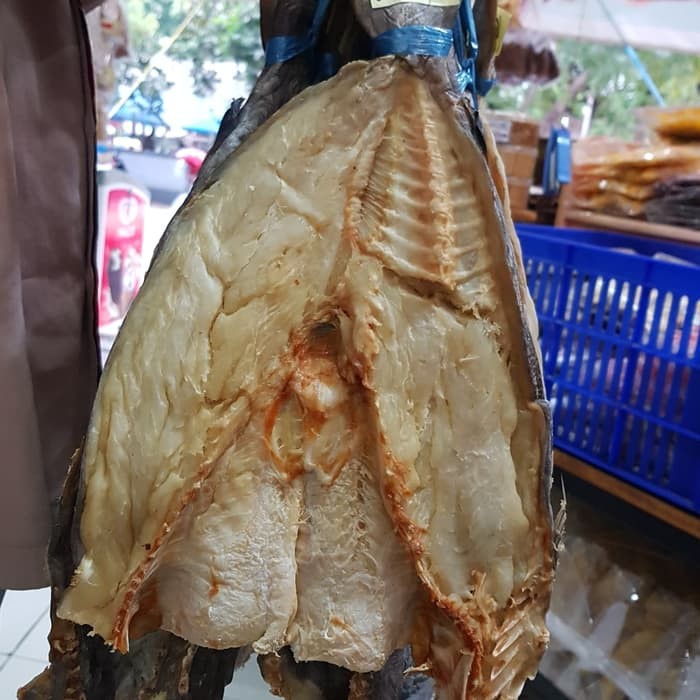 

Jambal Roti Ekor Super (Terlaris)
