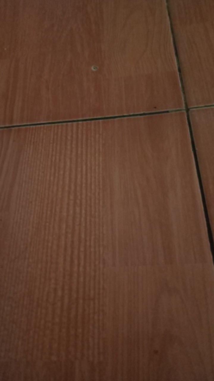 [sm88] Pisau Buah Sayur Makanan Pisau Dapur Murah Berkualitas