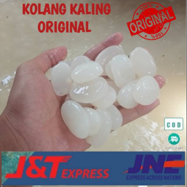 

Kolang kaling asli original dari petani langsung