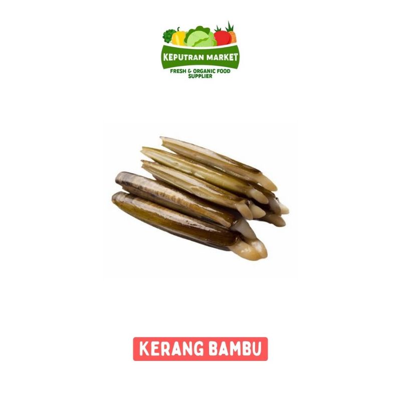 

Kerang Bambu Per Kg / Ikan Segar