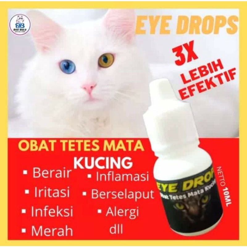eye drops tetes mata kucing berair infeksi virus