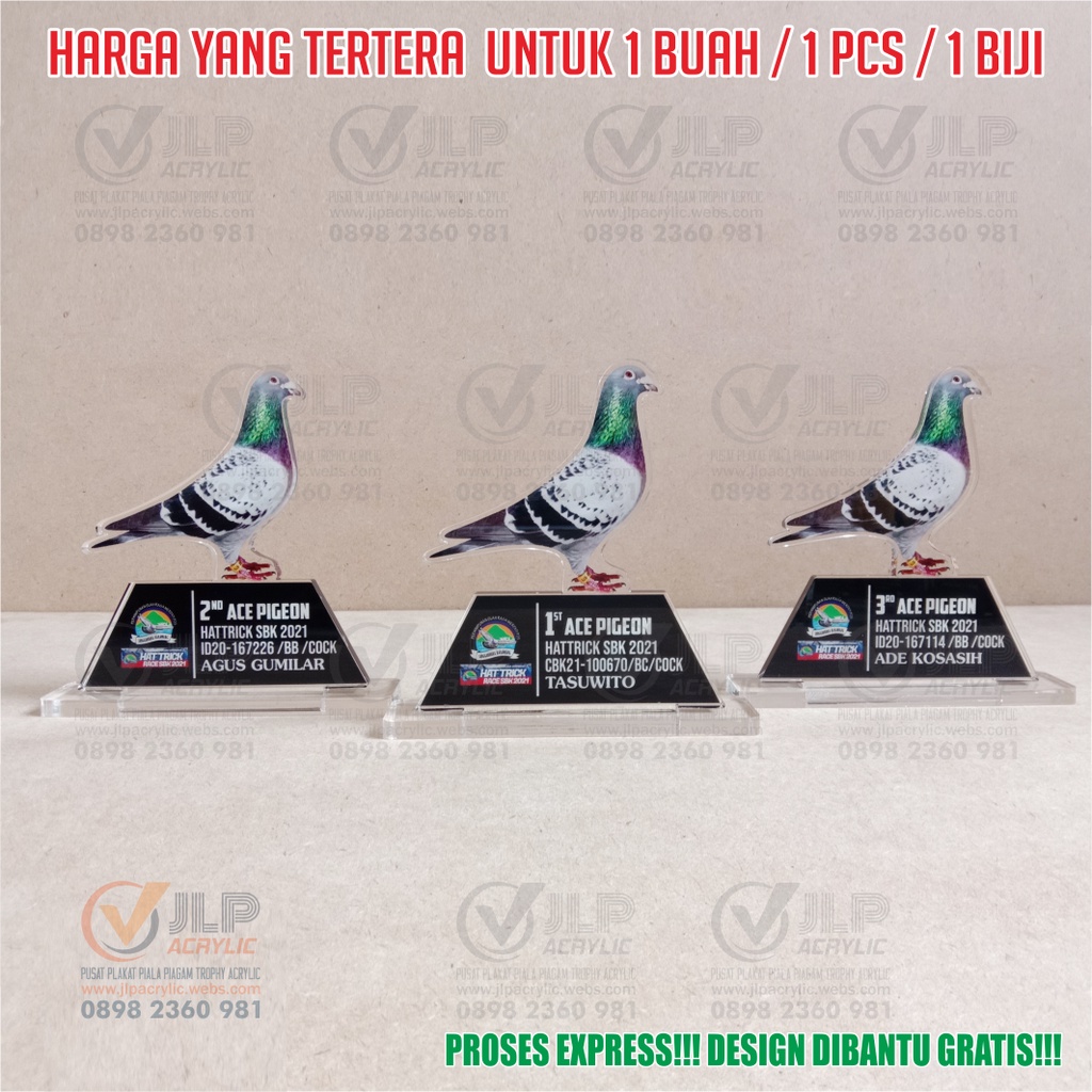 Piala Burung, Trophy Burung, Trophi Burung, Tropy Burung, Tropi Burung, Piala Merpati, Trophy Merpat