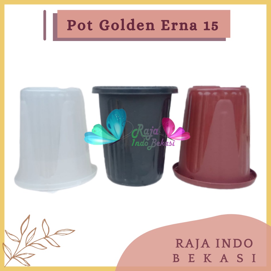 Rajaindobekasi Pot GE15 Golden Erna 15 Merah Bata Coklat Terracota Terracotta Garden Of Love Mirip Pot Yogap 10 13 15 Putih Coklat Merah Bata Bening Transparan Pot Yogap 17 18 19 Pot Yogap Murah Pot Bunga Tinggi Pirus Tegak Bagus Tebal