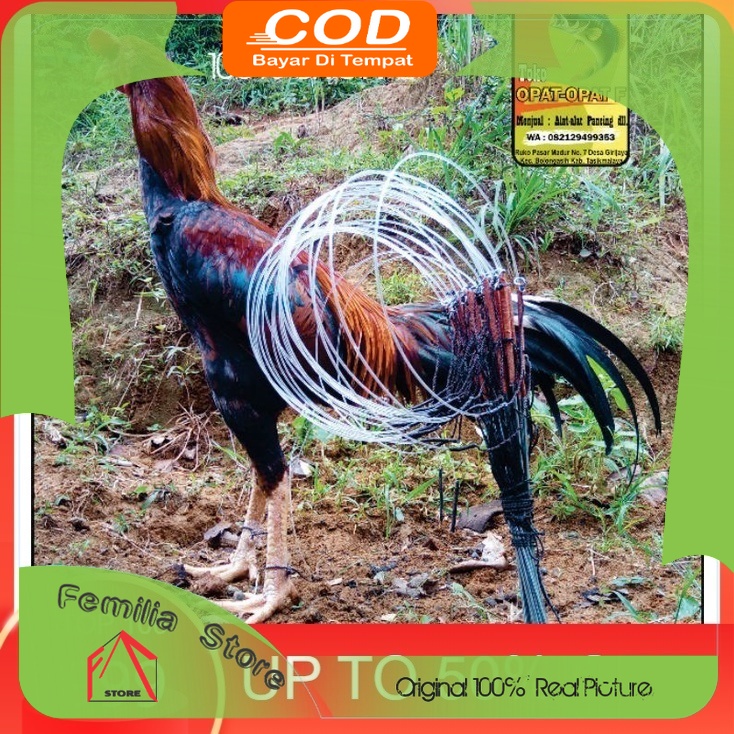 Jerat Racik Tancap Ayam Hutan