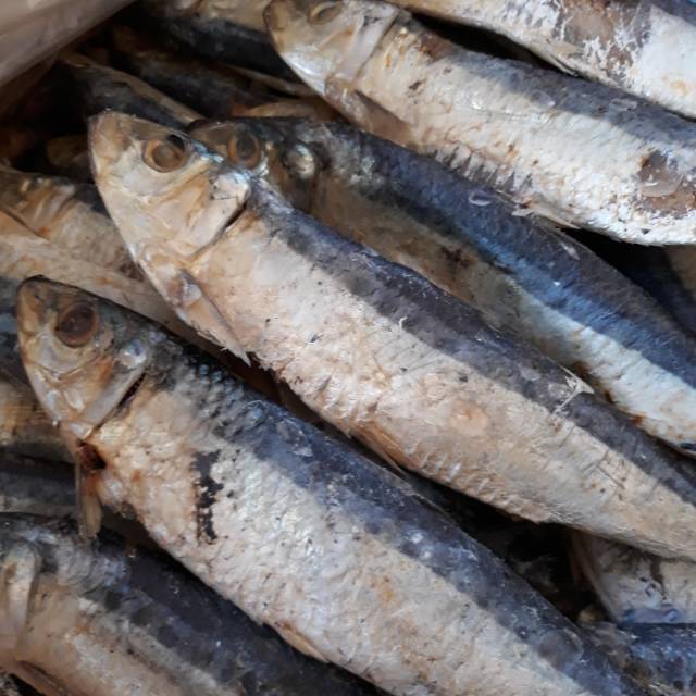 

Ikan asin Dencis 250 gram