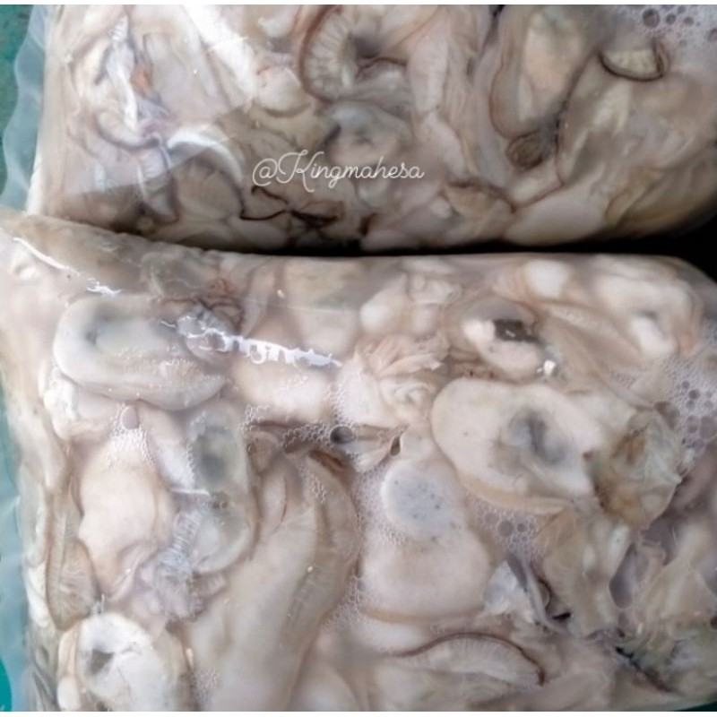 daging kerang tiram kupas  oyster fresh