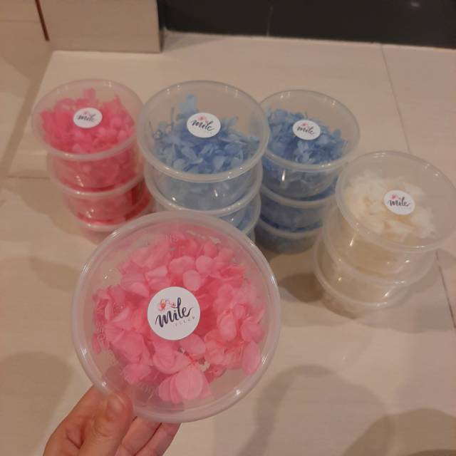 Bunga Kering Preserved Hydrangea