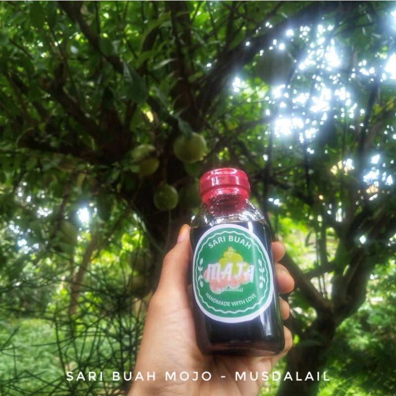 

(250-500ml) Jamu Sari Buah Mojo - Obat Segala Penyakit