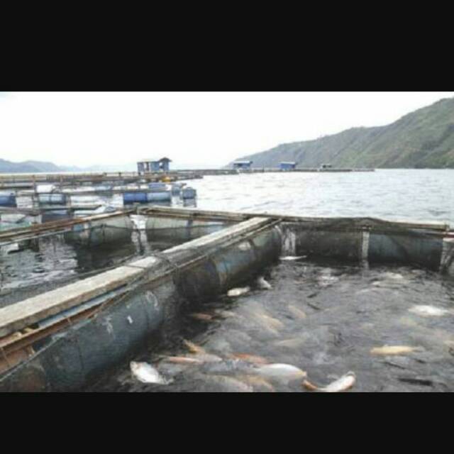 Keramba jaring ikan krapu/nila meteran