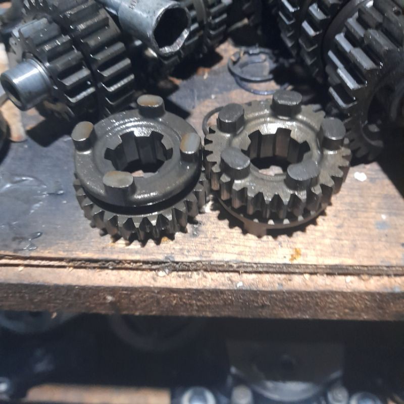 gigi 5 tiger mata 28