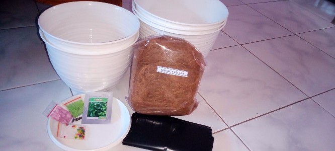 Media Tanam Hydrogel Pengganti Tanah Dan Cantik Untuk Indoor