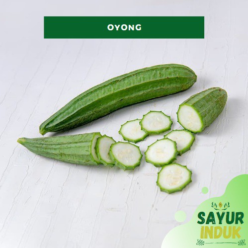 

Sayur Induk - Oyong 250 Gram Fresh Grade A Gambas Luffa Acutangula