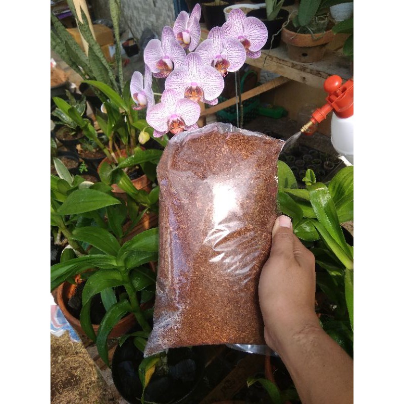 

Cocopeat