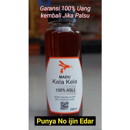 

Madu Klaceng , Madu kela kela , Madu Klanceng , MaduTrigona , Madu 100% Asli Ada Izin Edar di awasi Depkes Badung Bali