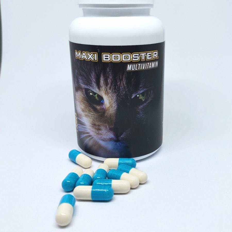 Maxi Booster Ecer Per Kapsul | Multivitamin Kucing