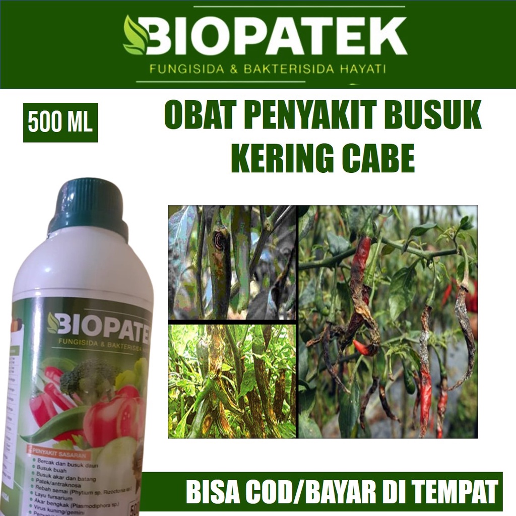 [REKOMENDED] BIOPATEK 500 ML OBAT BUSUK CABE, PUPUK SEMPROT BUSUK DAN PATEK CABE/CABAI MANJUR, OBAT 